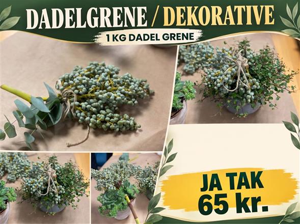 DADELGRENE 65,-