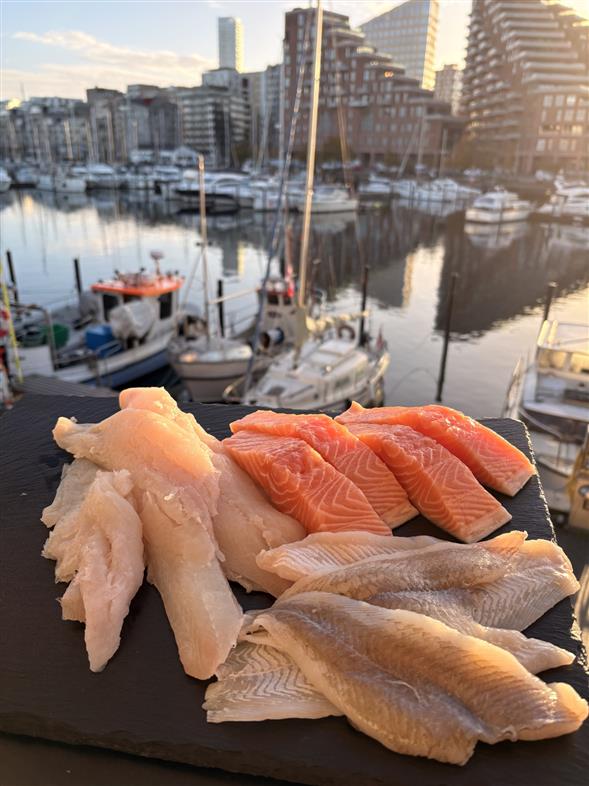 Mix fiskekasse 289 kr
