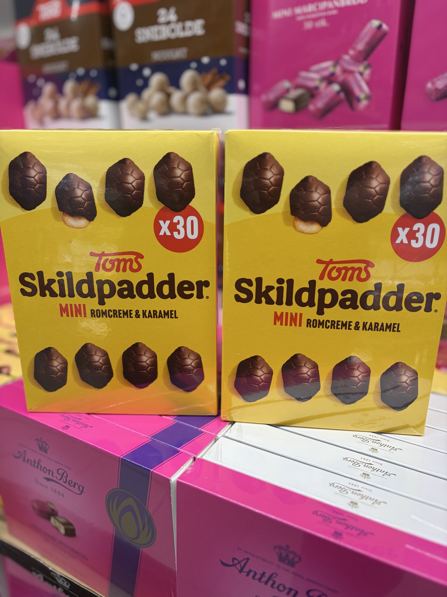 Mini skildpadde 65,-